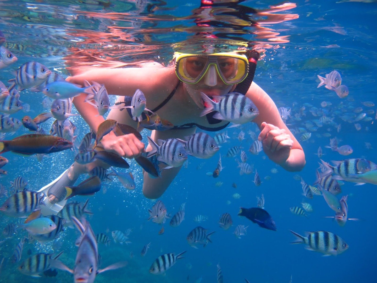 Snorkeling Trip Nusa Penida