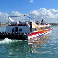 wijaya-perkasa-roof